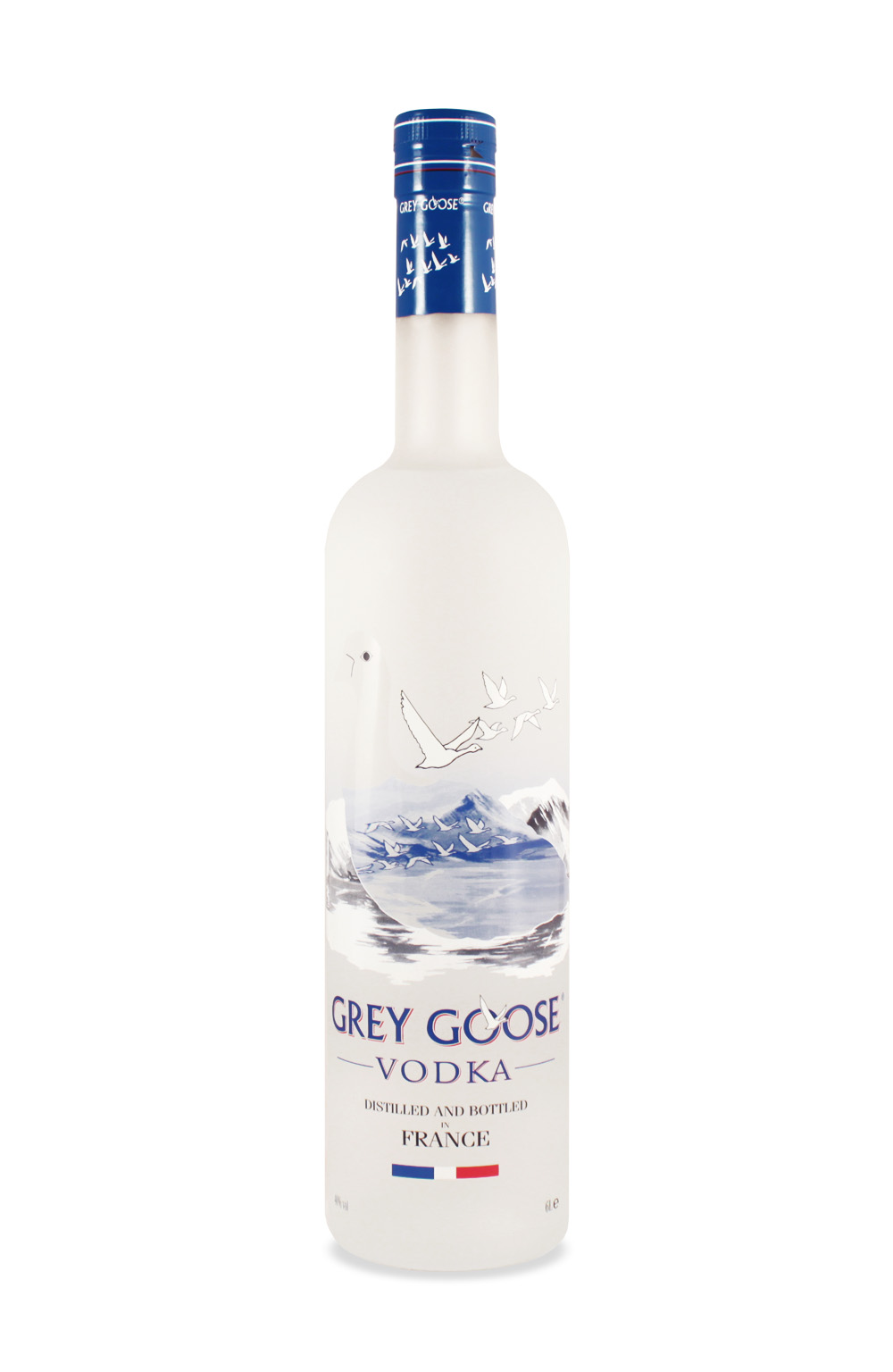 Grey Goose Vodka 6,0L (40% Vol.)